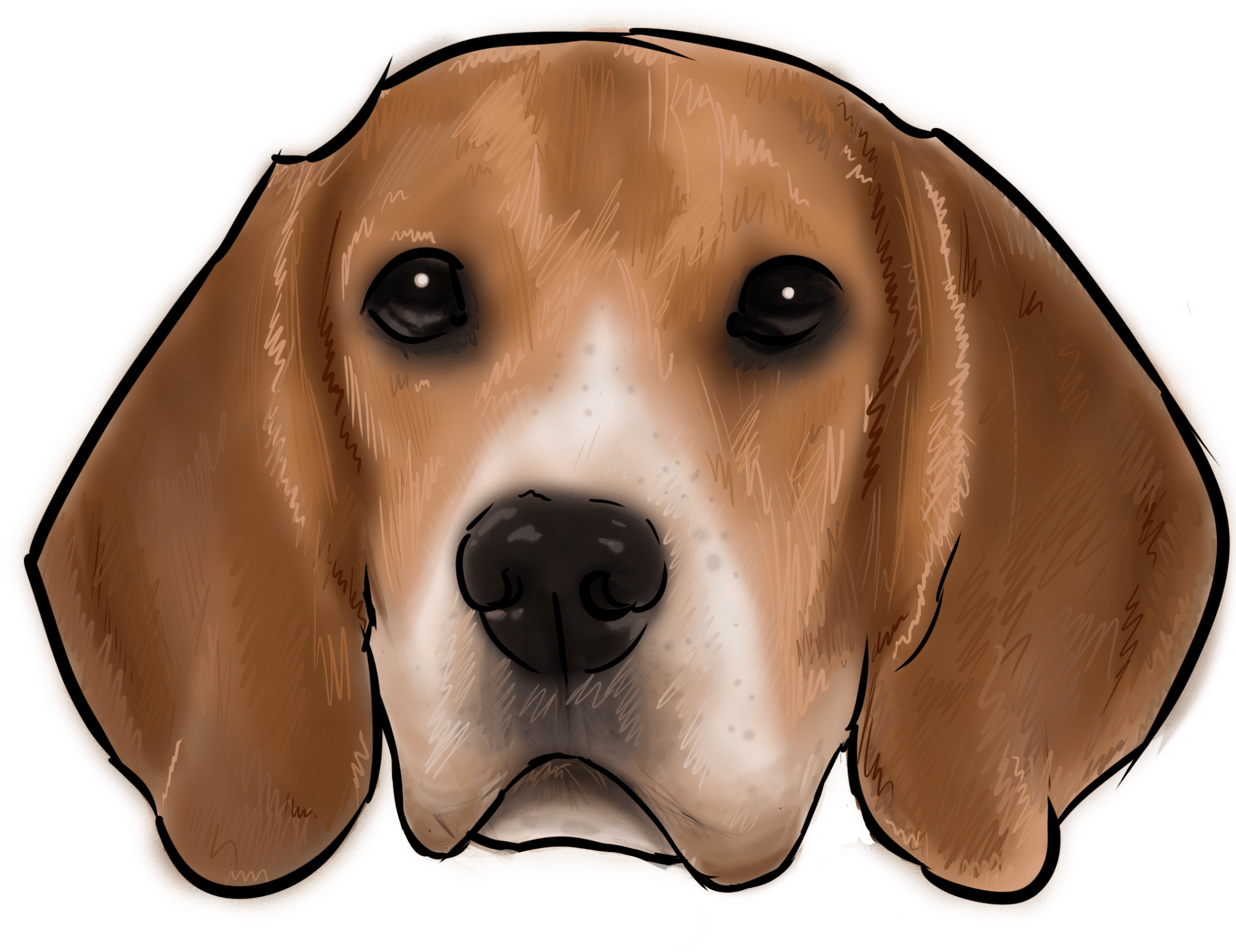 46 Why Are You A Beagle - Dog (2500x2500), Png Download