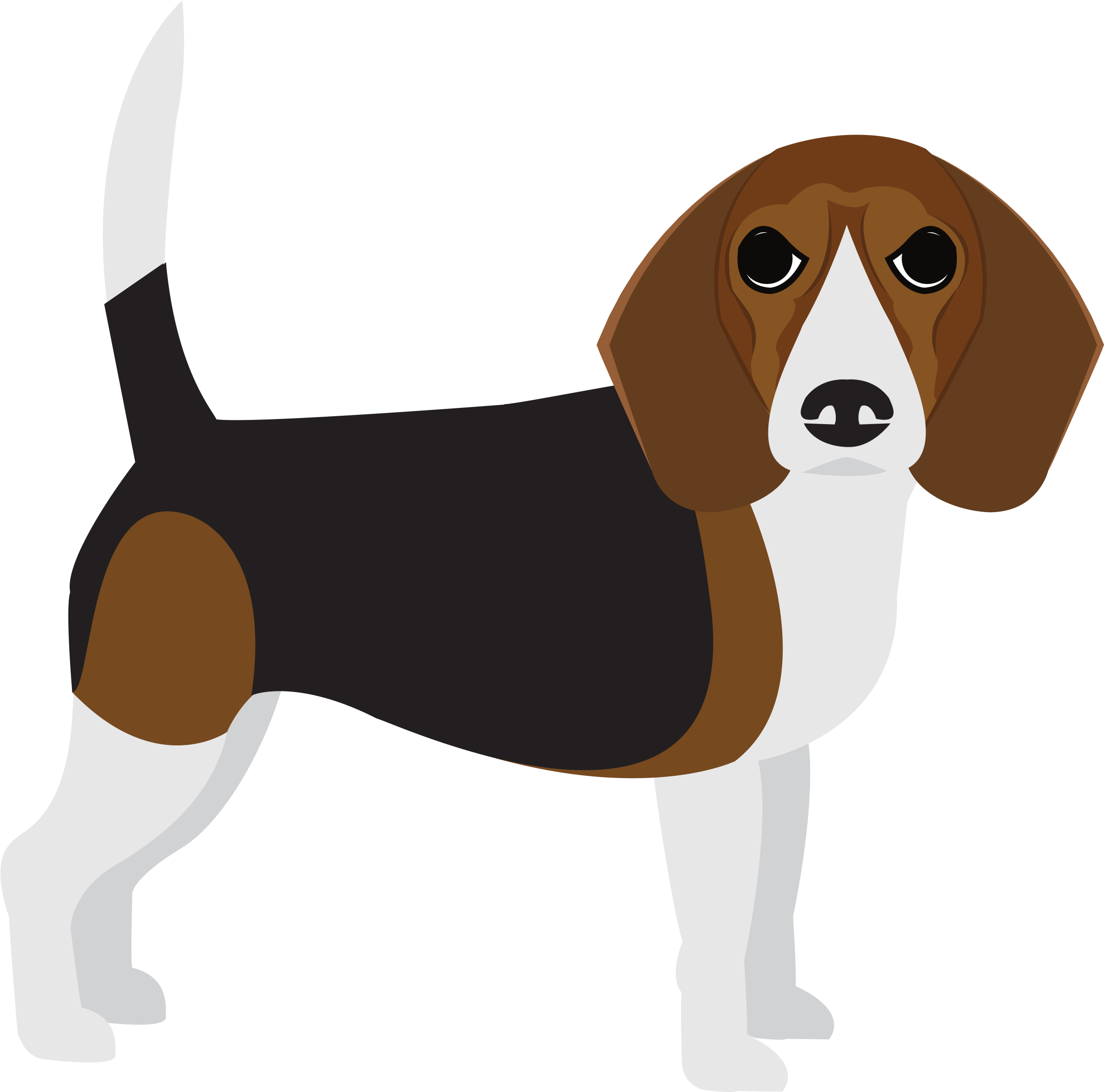 Harrier (3000x2400), Png Download