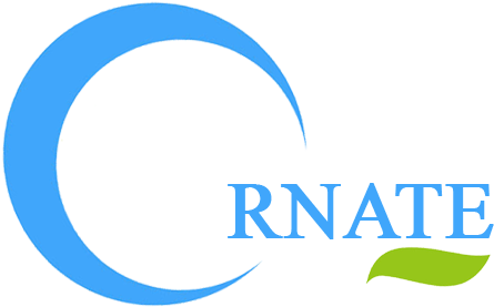 About Ornate - Ornament (478x310), Png Download