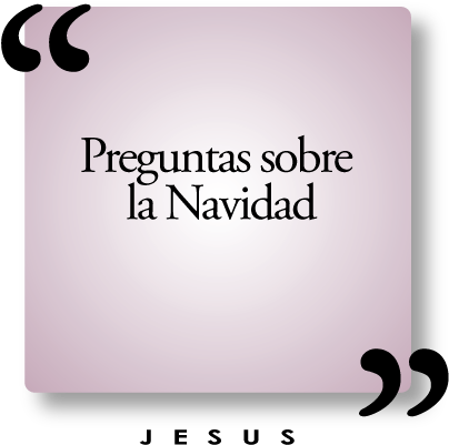 ¿son Paganos Los Adornos Navideños - Graphics (500x500), Png Download