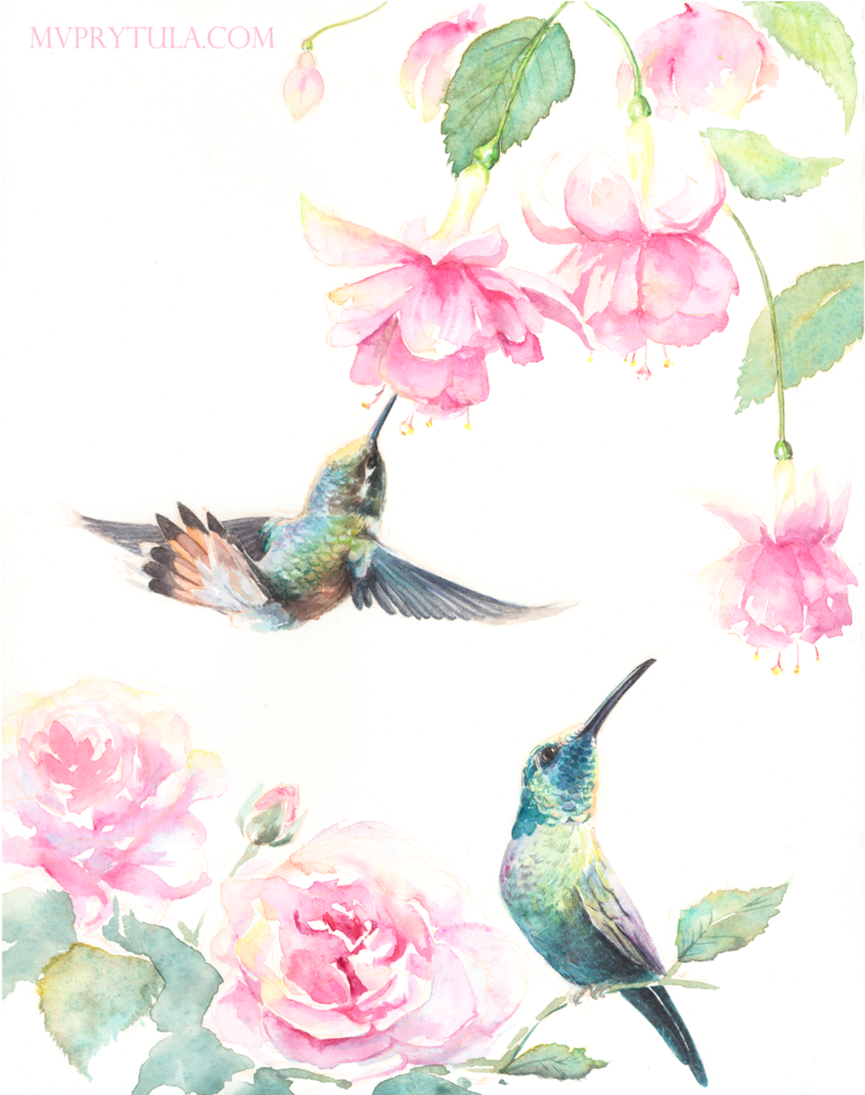 Hummingbirds Limited Edition - Ruby-throated Hummingbird (1000x1000), Png Download