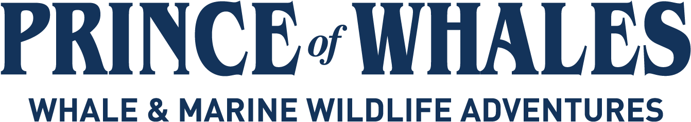 Prince Of Whales, Whale & Marine Wildlife Adventures - Graphic Design (1461x433), Png Download
