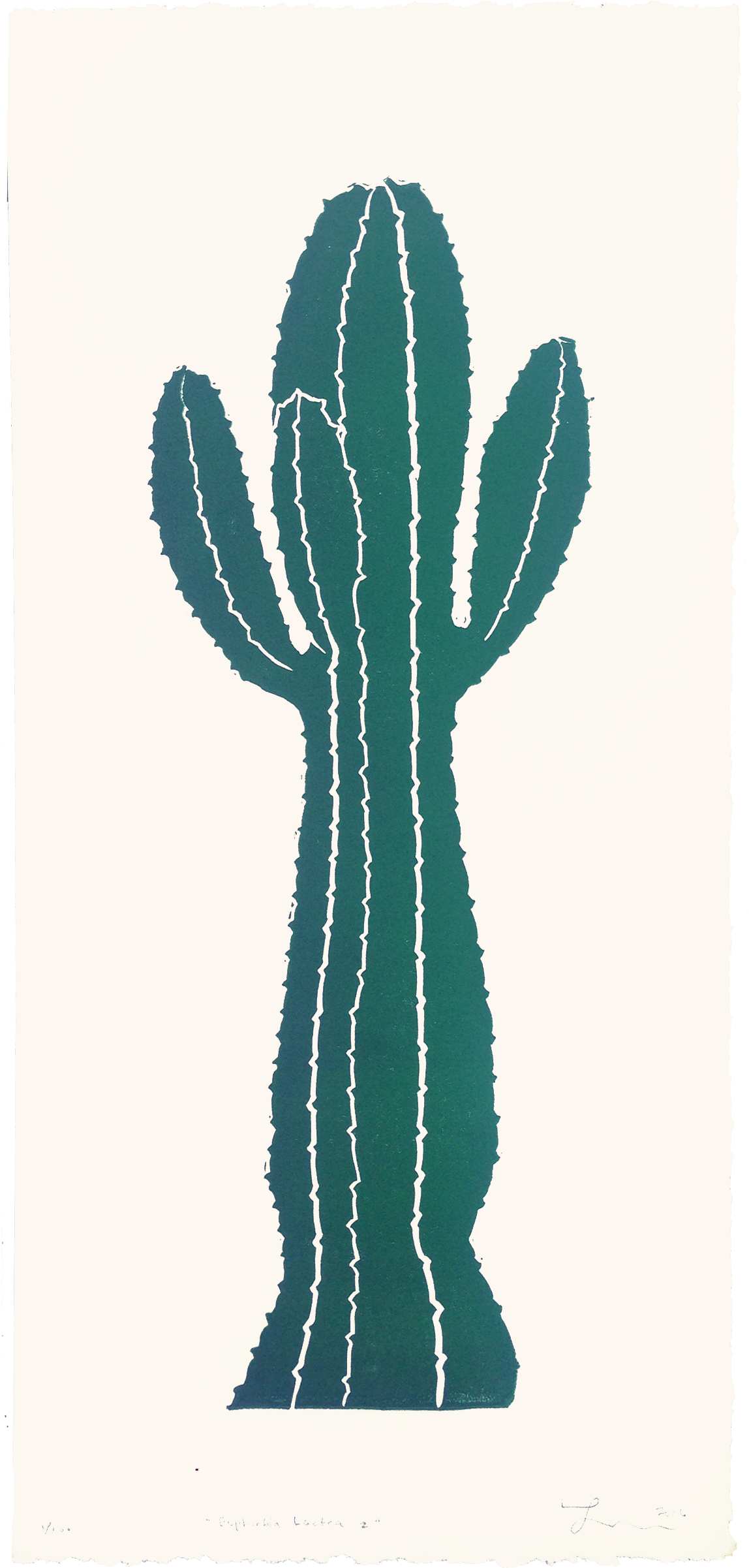 955490 D 2160 2447 S 2 - Hedgehog Cactus (2160x2447), Png Download
