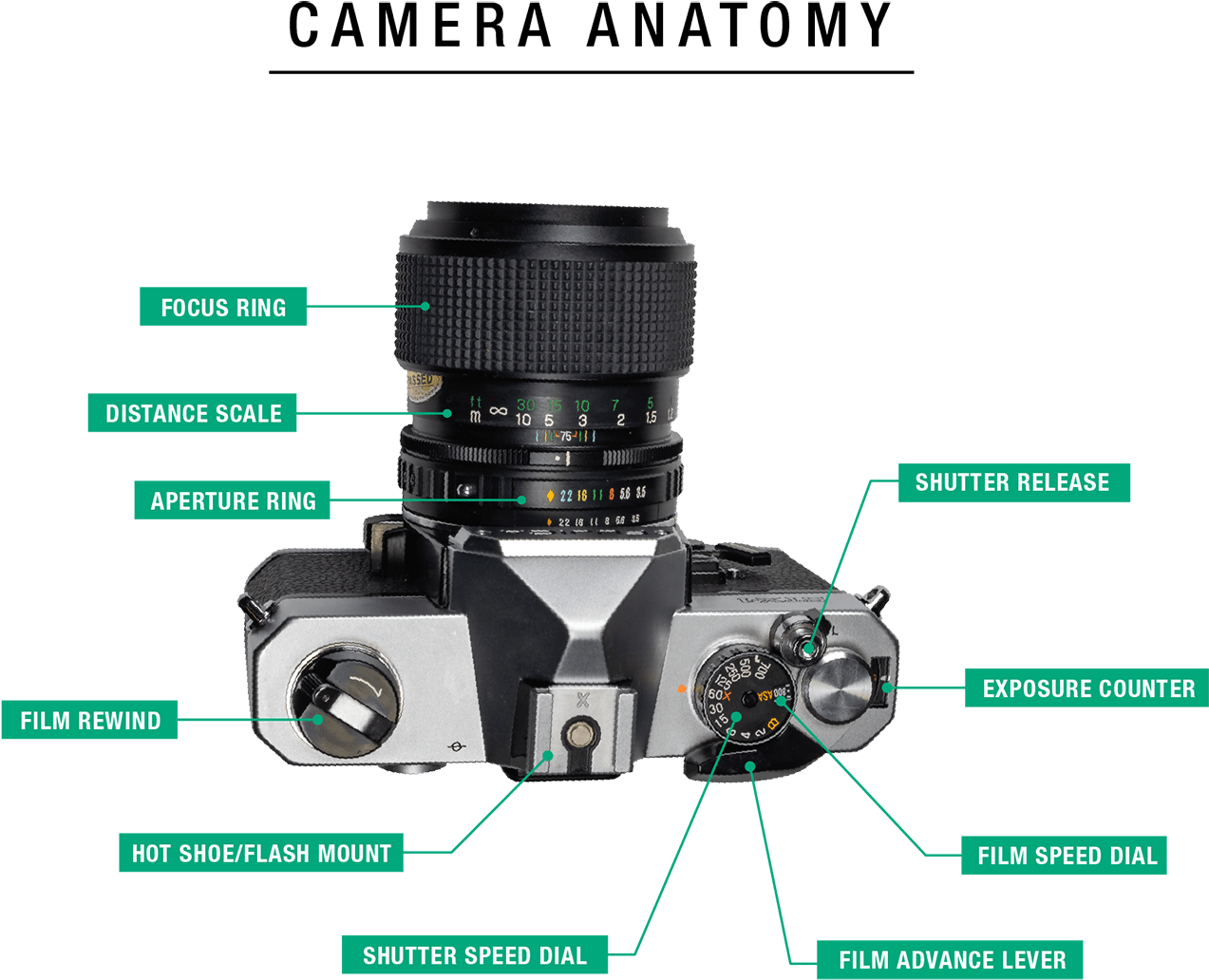 A Mirror Within The Camera Body That Is Diagonally - Camera Lens (1500x1313), Png Download