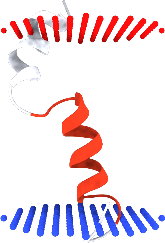 2ki9 - Graphic Design (1000x1000), Png Download