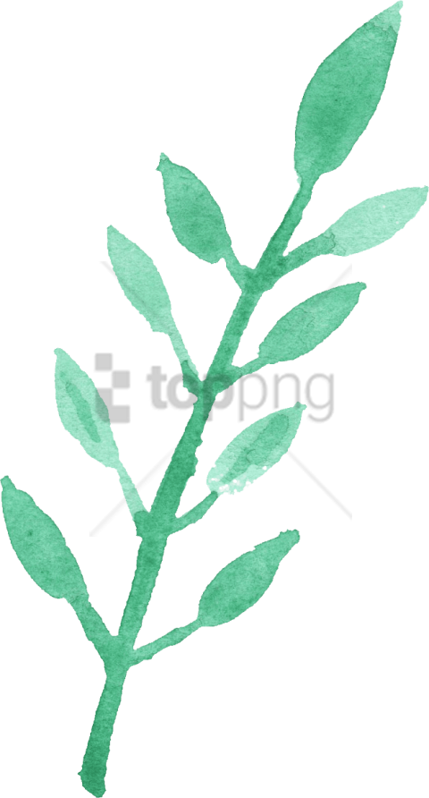 Free Png Watercolour Leaf Png Image With Transparent - Watercolor Leaf Clip Art (480x892), Png Download