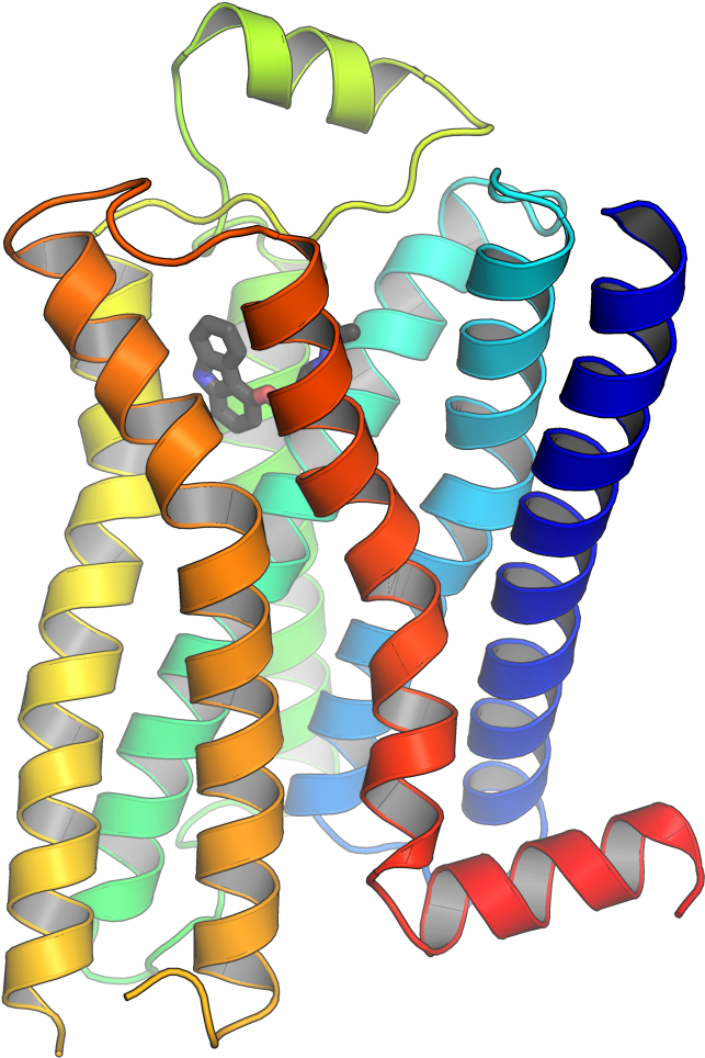 Gpcrs - Gq Ip3 Dag Pathway (768x1024), Png Download