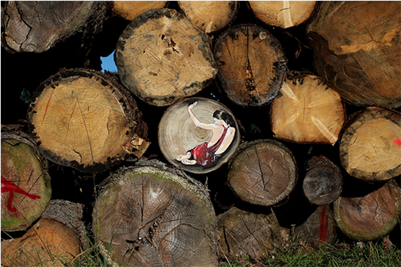 News - Tree Stump (703x484), Png Download
