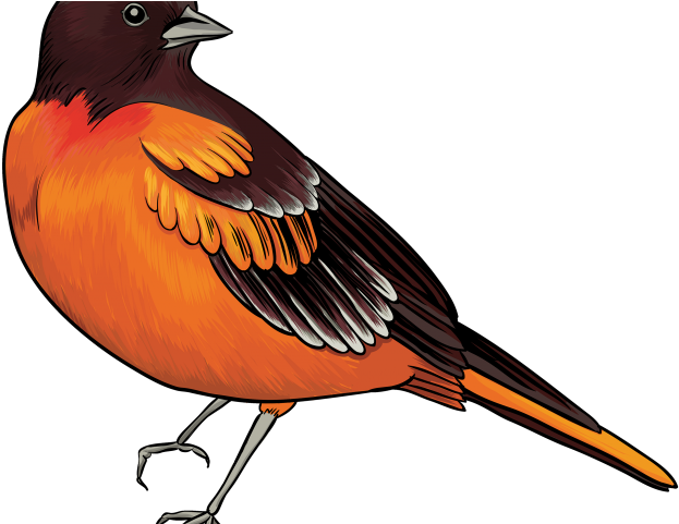 Quail Clipart Free Clipart - Bird Clip Art (640x480), Png Download