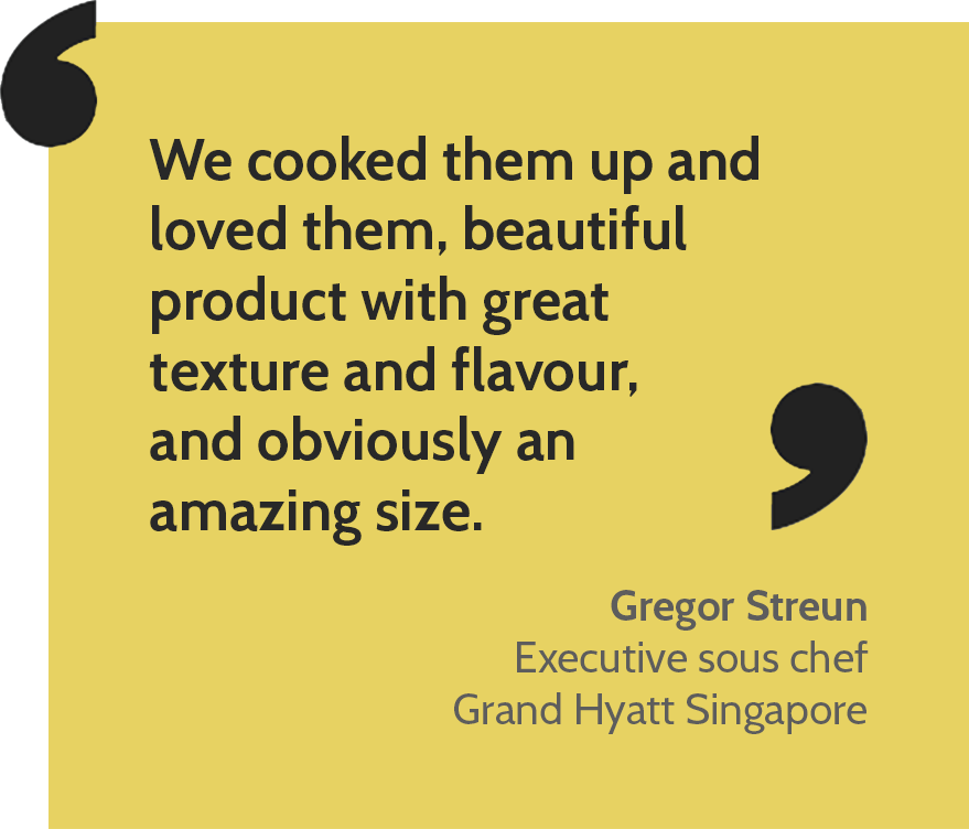 Bvp's Quail Is A Delectable Bird So Large It Can Be (879x752), Png Download