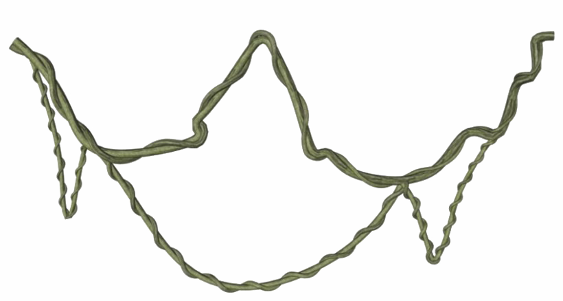 Jungle Vines Png Clipart - Vine Png (820x438), Png Download