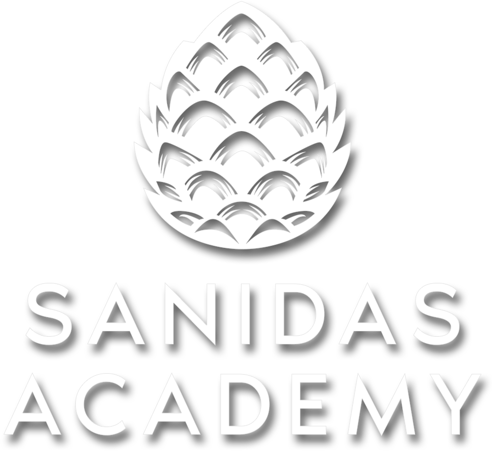 Sanidas Logo 5 - Ring (1000x1000), Png Download