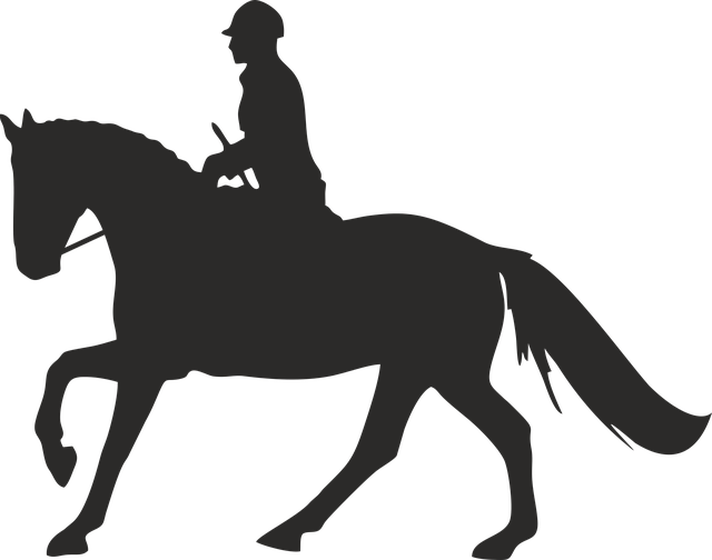 Stallion (640x504), Png Download