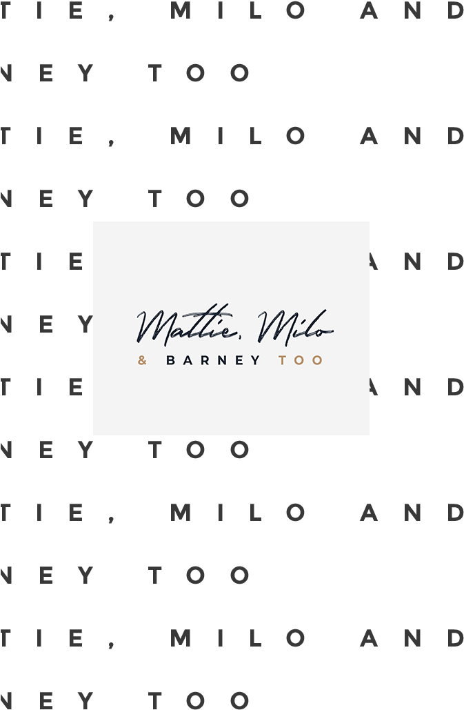 Once The Logo's Finished, I Sent Katie All The File - Paper (900x1030), Png Download