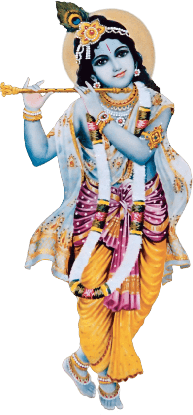 About Us Radha Govind Dham Dallas - Lord Krishna Hd Png (394x1000), Png Download