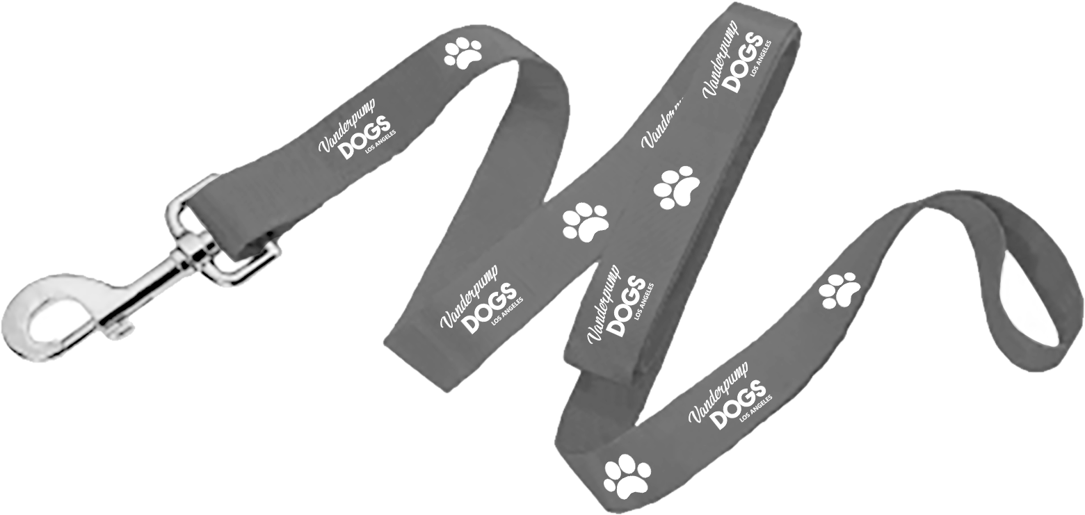 Dog Belt Png (1667x893), Png Download