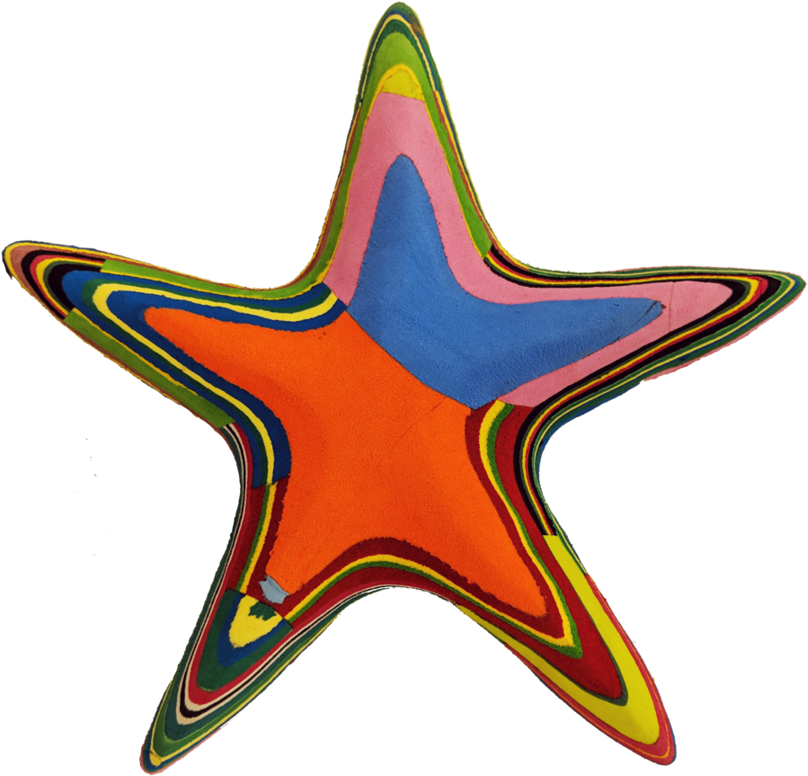 Starfish (1024x1024), Png Download