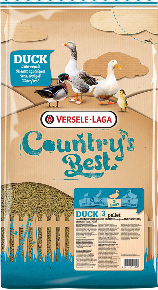 Duck 3 Pellet (800x958), Png Download