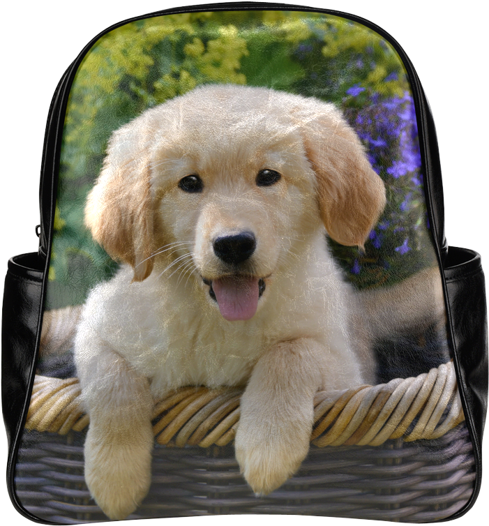 Cute Young Golden Retriever Dog Goldie Puppy Portrait - Cute Puppies Square (1000x1000), Png Download