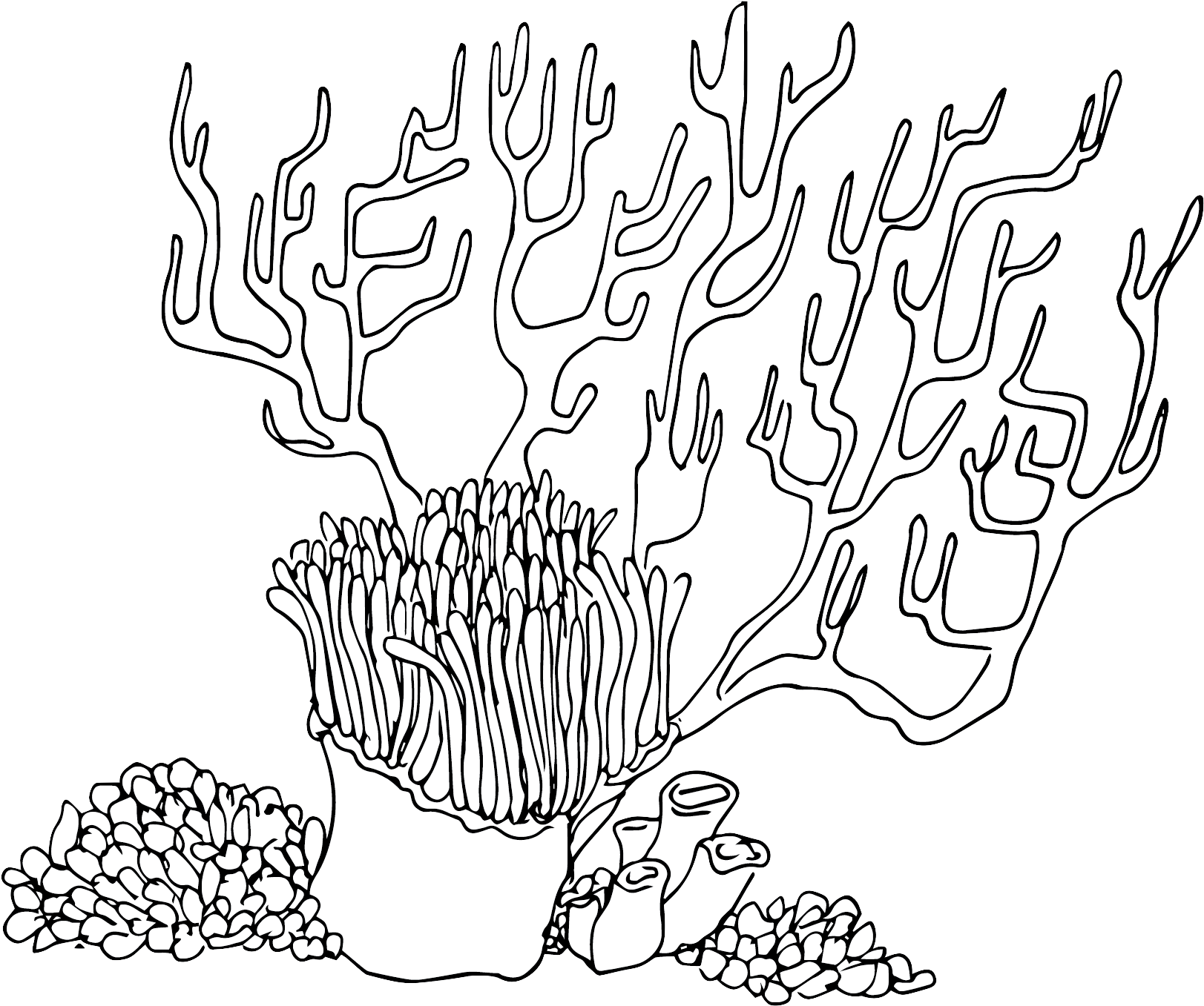Download Kitsch Line Art Full Size PNG Image PNGkit