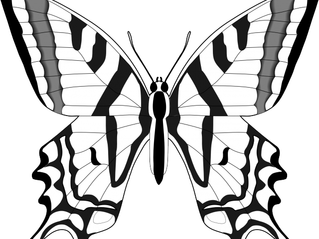 Monarch Butterfly Clipart Outline - Swallowtail Butterfly Clipart (640x480), Png Download