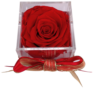 This Beautiful Preserved Rose Will Last More Than A (498x664), Png Download