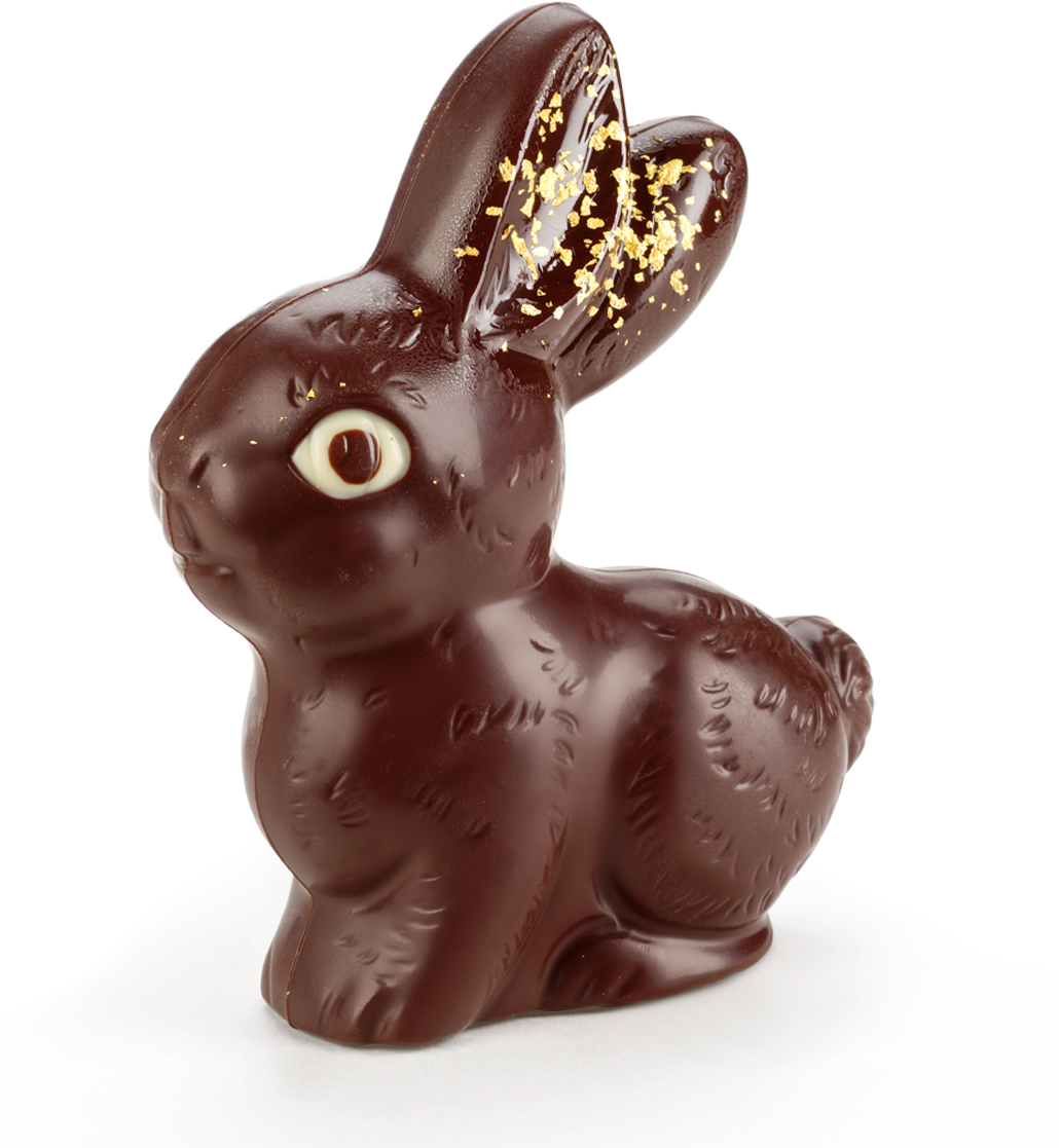 Chocolate Bunny Goldy 100g - Domestic Rabbit (1200x1200), Png Download
