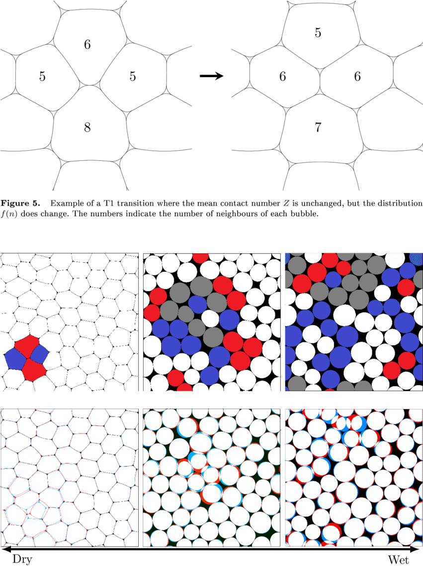 Two Alternative Illustrations Of Rearrangements Due - Circle (850x1165), Png Download