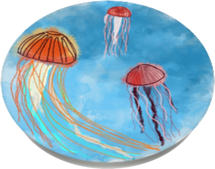 Jellyfish, Popsockets Jellyfish - Jellyfish (989x1000), Png Download
