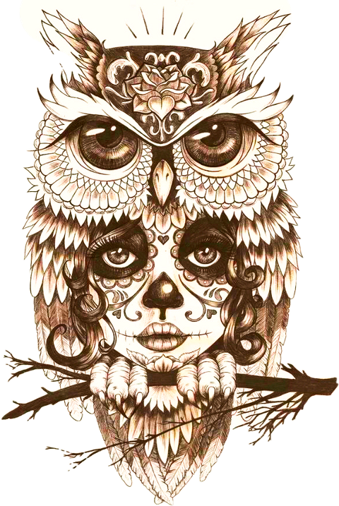 Body Owl Art Tattoo Mystic Drawing Clipart - Owl Tattoo Black And White (480x717), Png Download
