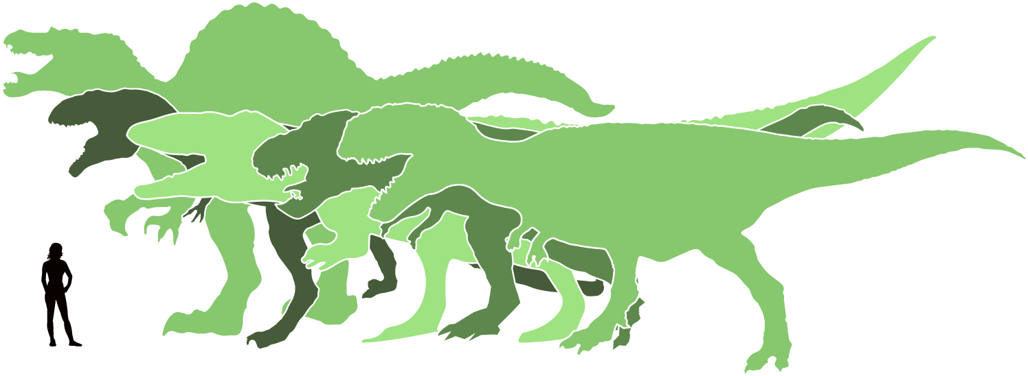 Jämförelse Dinosauriers Storlek (1530x588), Png Download