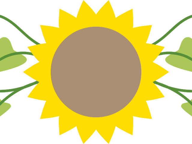Flowers Borders Clipart Divider - Sunflower Banner Png (640x480), Png Download