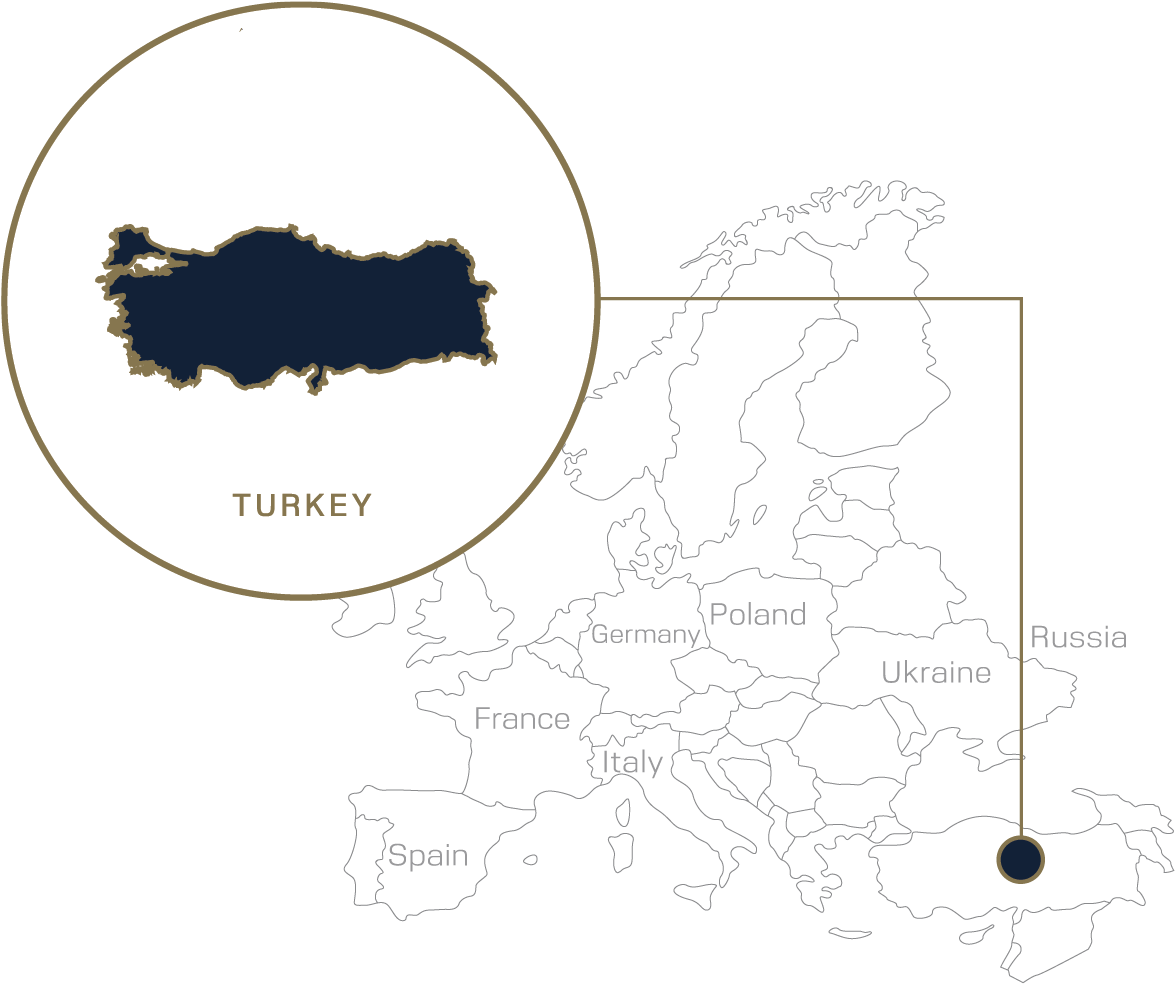 Overview (1200x1005), Png Download