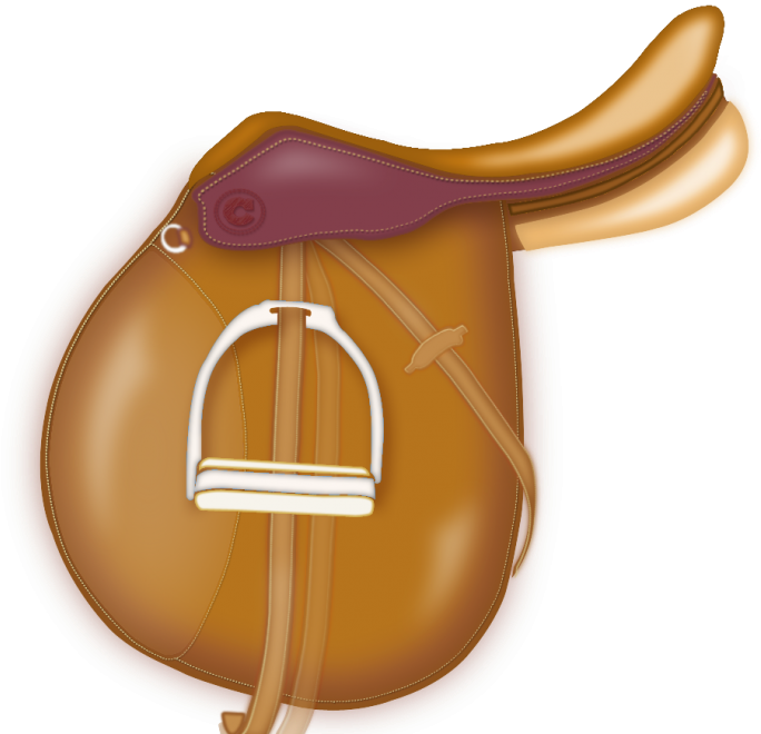 English Saddle Collection - Cartoon Saddle (1080x675), Png Download