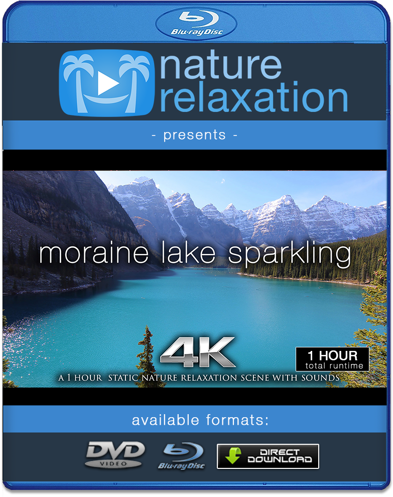 1000 X 1000 10 - Pc Dvd (1000x1000), Png Download