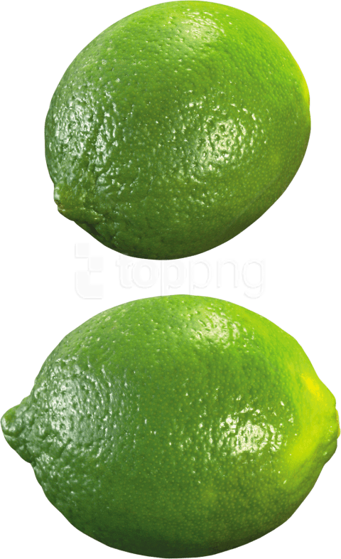 Free Png Lime Png Images Transparent - Lime Png (480x786), Png Download