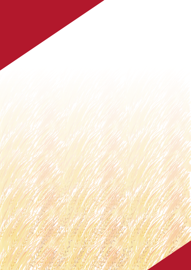Book Cover Png Hd - Book Image Hd Png (800x1133), Png Download