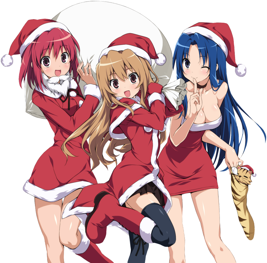 Taiga Aisaka, Minori Kushieda, Ami Kawashima Photo - Ami Toradora (884x868), Png Download