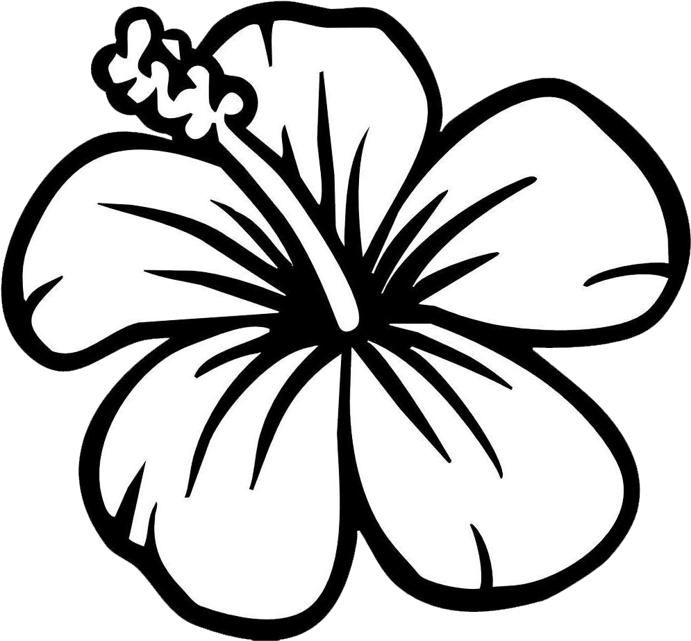 Largest And Collection Of Flower Clipart Images In - Hibiscus Flower Coloring Page (1230x1080), Png Download