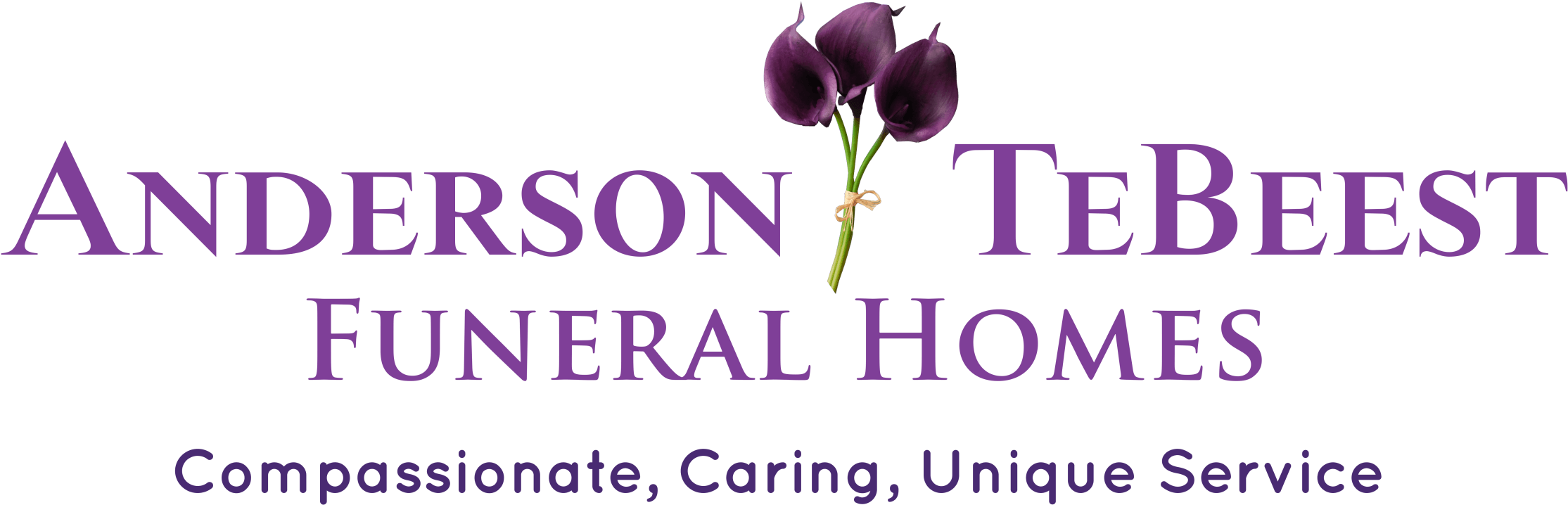 845 Highway 212 West Po Box 97 - Imperial Homes (2340x829), Png Download