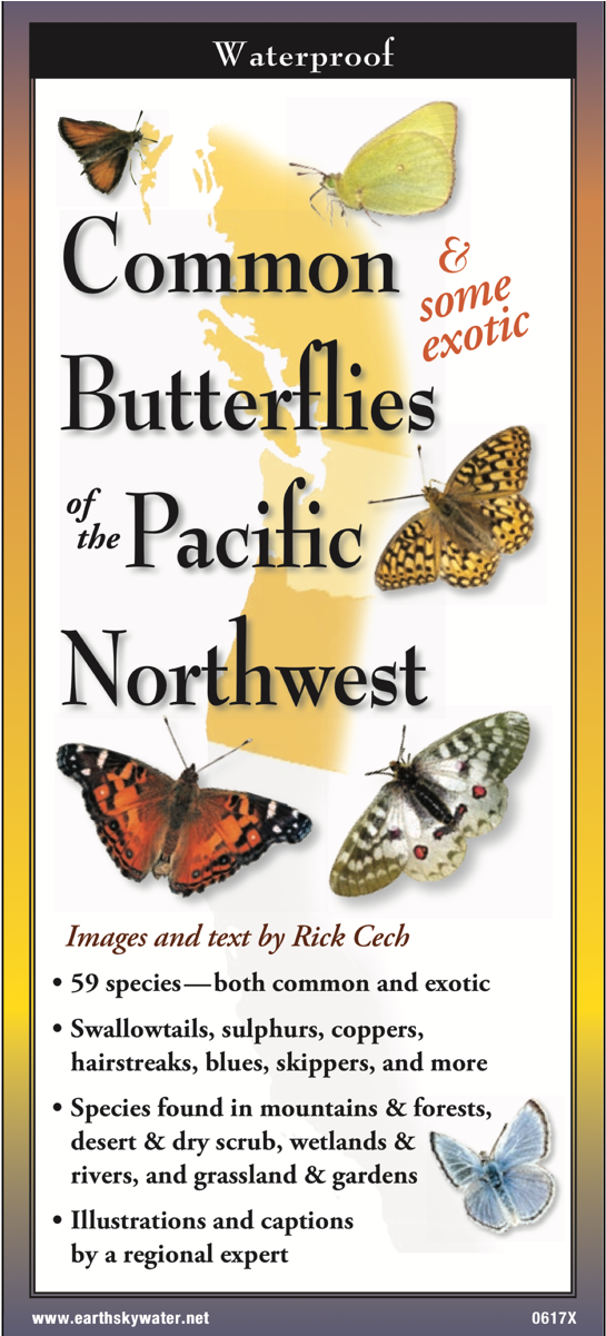Shopping Cart -  -  - Monarch Butterfly (1200x1200), Png Download