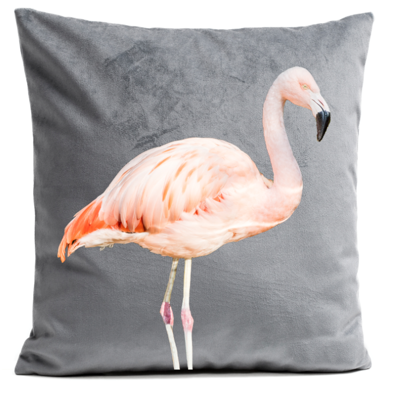 Pillow Cover (774x774), Png Download