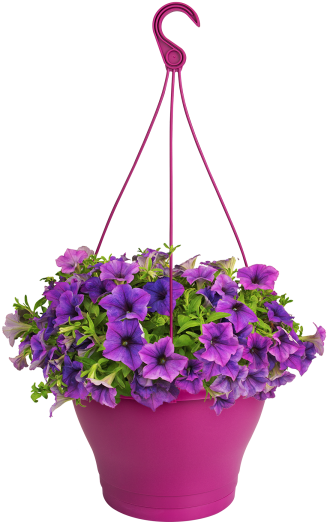 Home > Collection > Corsica Hanging Basket - Artificial Flower (750x750), Png Download