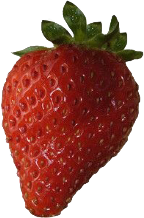 Largest Collection Of Free To Edit Fresh Prince Of - Strawberry (480x724), Png Download