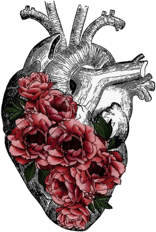 Replace Veins With Tree Roots Anatomy Art, Heart Anatomy - Human Heart Flowers Drawing Transparent (641x929), Png Download