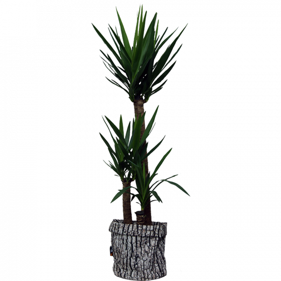 Merowings® Planter Is The Newest Addition To The Merowings - Houseplant (560x560), Png Download