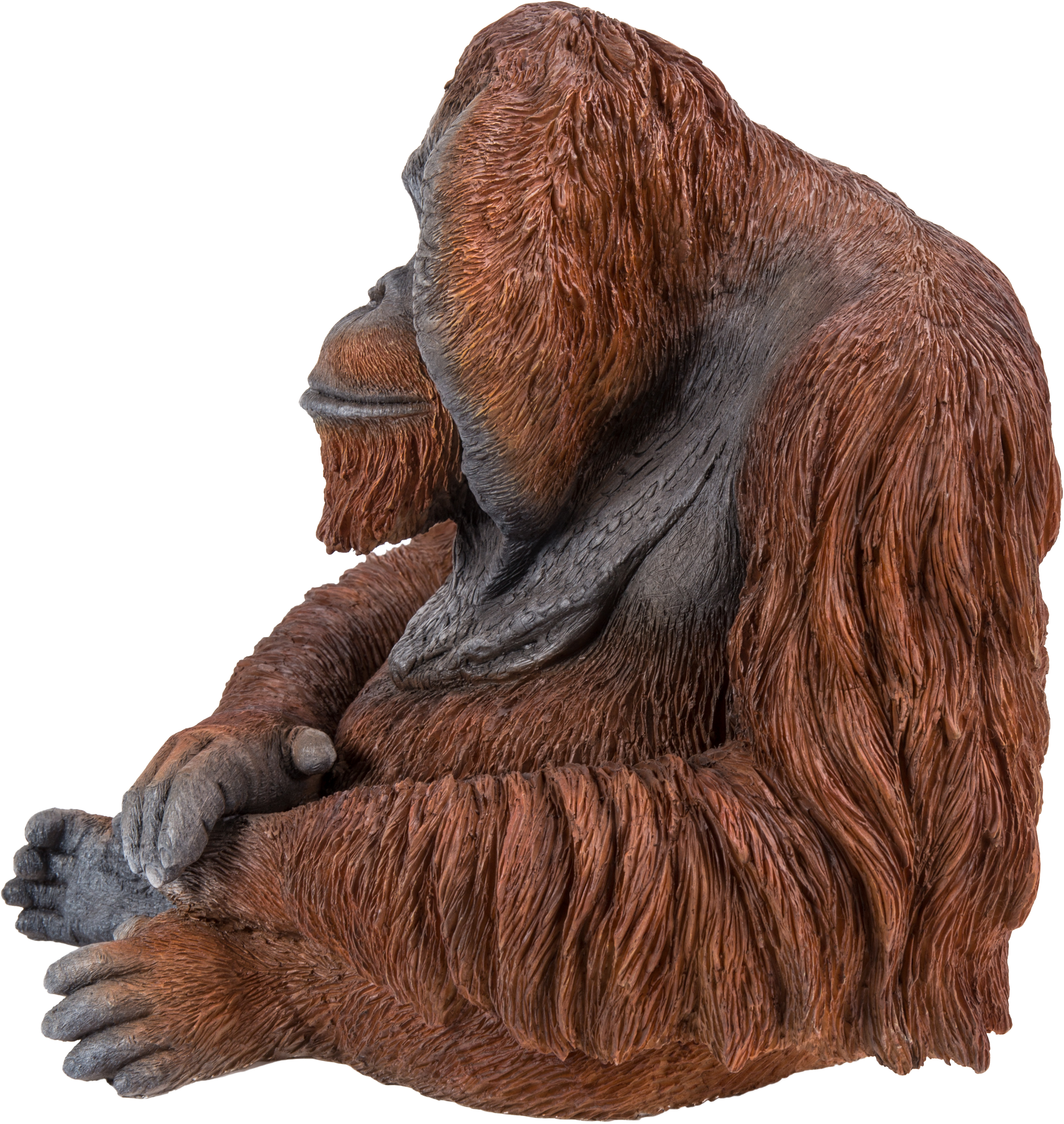 Orangutan (3129x3291), Png Download