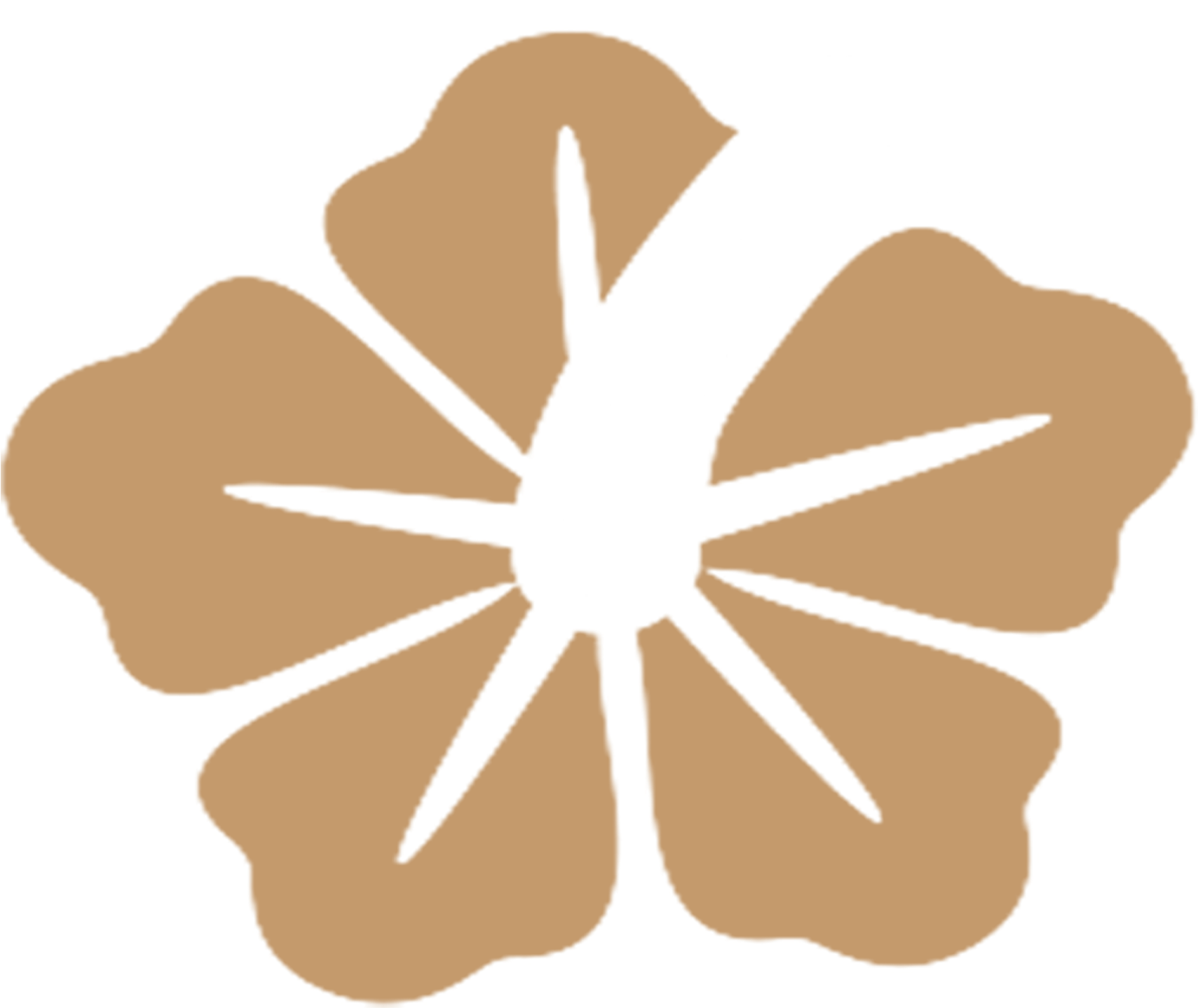Logo - Chinese Hibiscus (3000x1800), Png Download