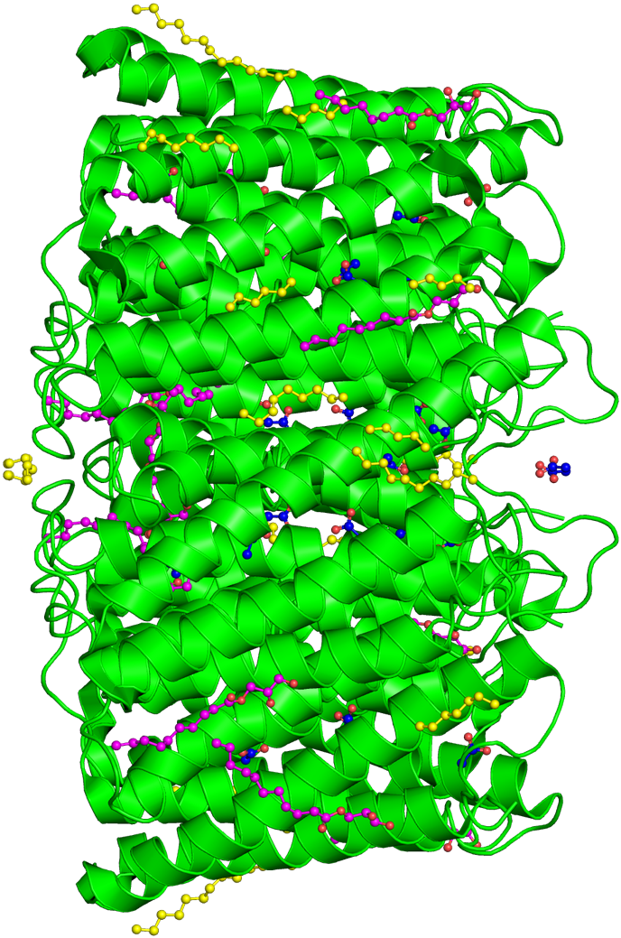 On This - Illustration (1200x1200), Png Download