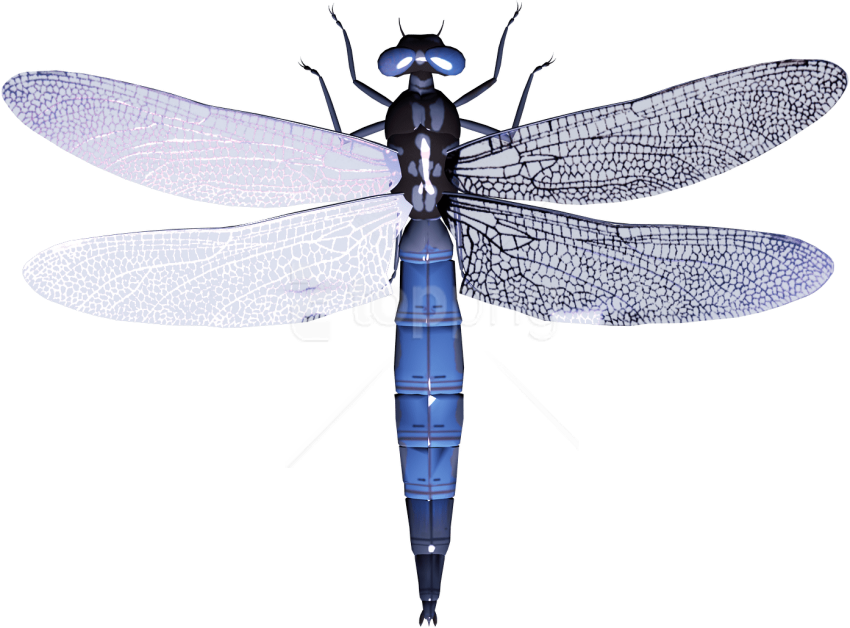 Free Png Download Dragonfly Clipart Png Photo Png Images - Стрекоза Клипарт (850x628), Png Download
